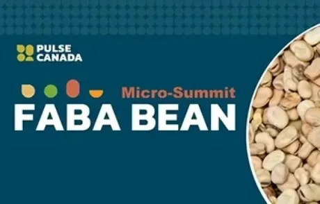 2023 Faba Bean Micro Summit