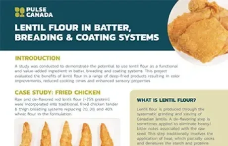 Case Study Lentil Flour in Batters