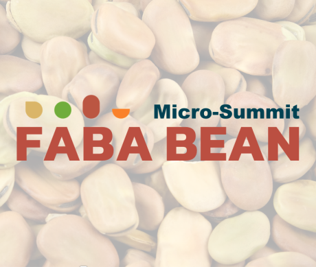 Faba Bean Micro Summit