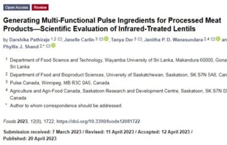 Lentil Flour in Meat Applications
