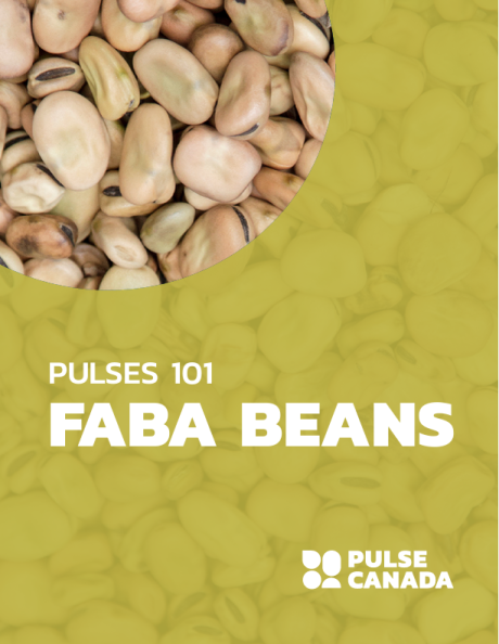 Pulse Canada Pulses 101 Faba Beans
