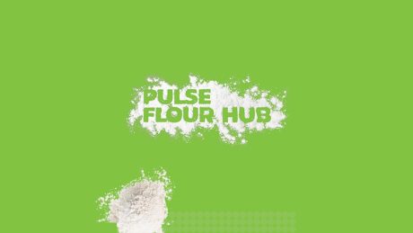 Pulses in Dairy Webinar