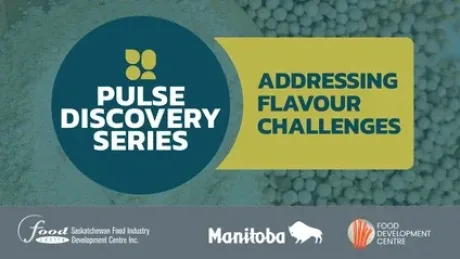 Addressing flavour challenges
