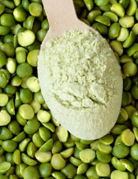 Anti nutritients