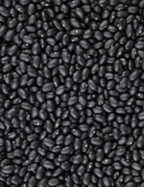Bean table texture