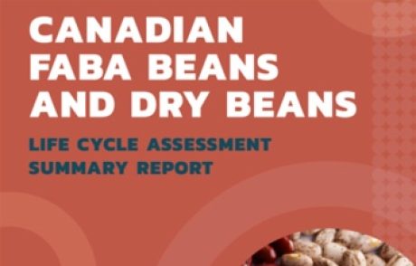 Canadian faba beans and dry beans report thumbnail