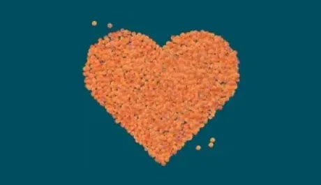 Lentil library