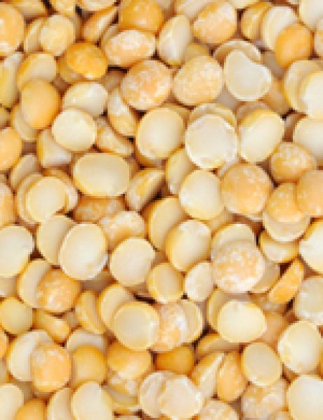 Pea table texture