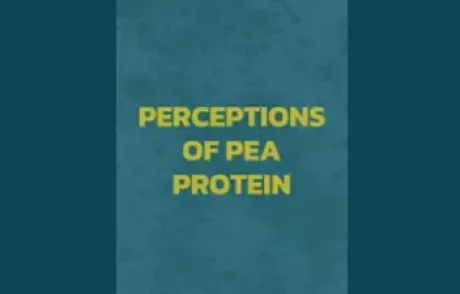 Perceptions of pea protein