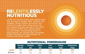 Lentil Nutrition Guide