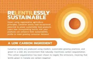 Lentil Sustainability Guide
