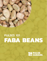 Pulse Canada Pulses 101 Faba Beans