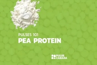 Pulses 101 pea protein